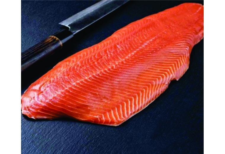 Cá Hồi Phi Lê thường - Salmon Fillet